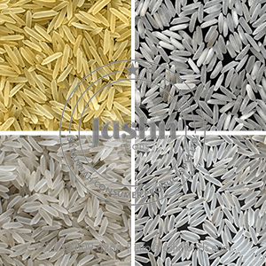 Parmal Rice